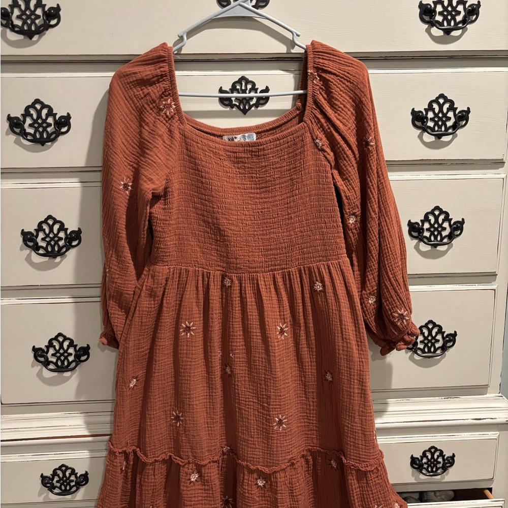 Women still Rust Orange Embroidered Dress